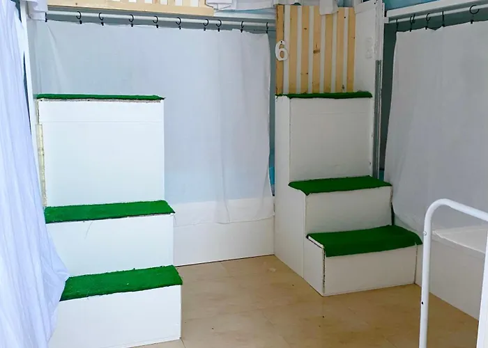 Backpacker Eras Ii 호스텔 Las Eras (Tenerife)