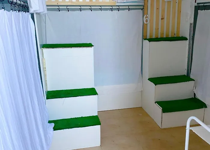 Backpacker Eras Ii 호스텔